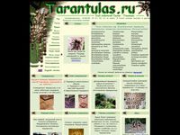 tarantulas.ru