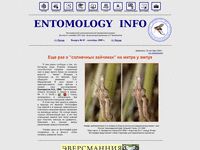 entomology.ru