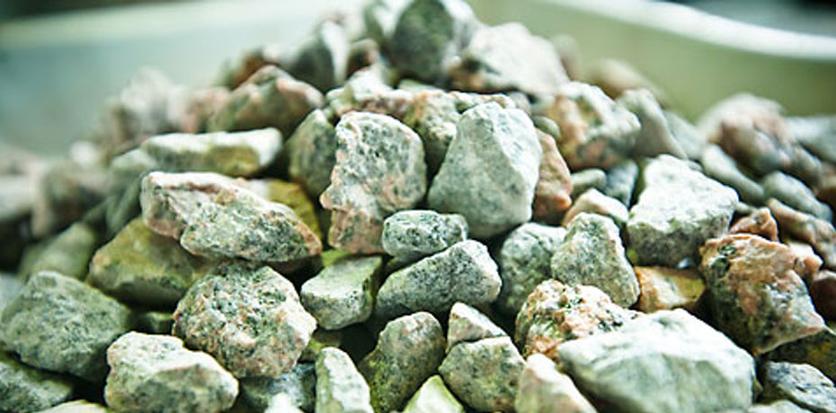 ������ ���������